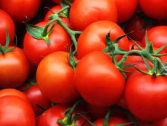 Hou je van tomaten? Hier een tip waar je ze gratis op kunt halen!