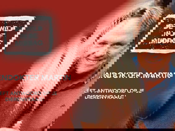 Dierendokter Martin geeft antwoord op je dierenvraag