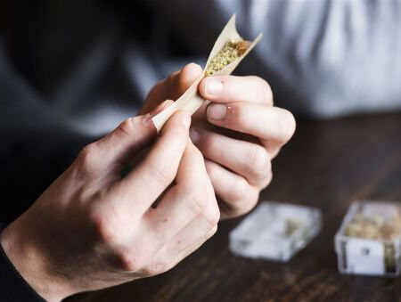 Thijs Roes over het legaal kweken van cannabis