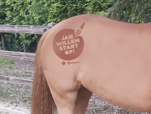 Ingrid scheert figuurtjes in paarden! Hoe ze daar zo op kwam?