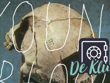 De Kluis: The Naked And Famous - 'Young Blood'