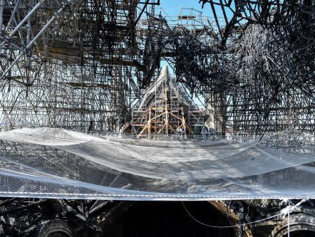 Notre-Dame update van Wilfred de Bruijn!