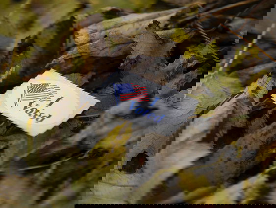 Is deze verkiezingsnacht anders dan voorgaande jaren?