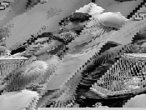 Oude Ja Zuster, Nee Zuster fragmenten teruggevonden