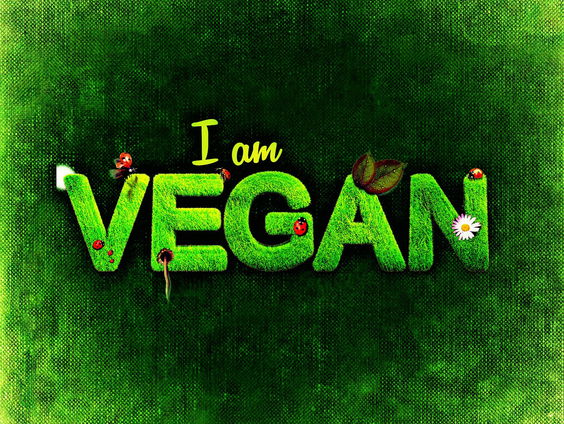 Kledingadvies: Go Vegan