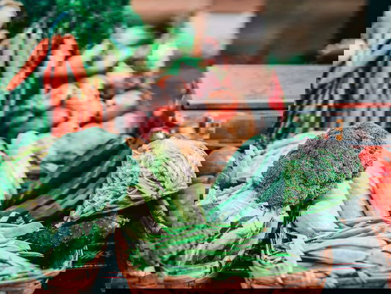 De Vergeten Groenten Game!