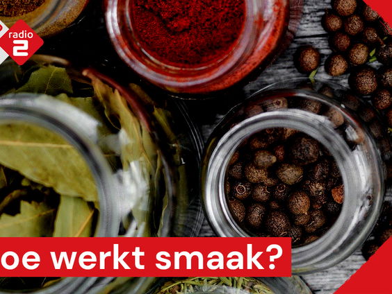 Hoe werkt smaak?