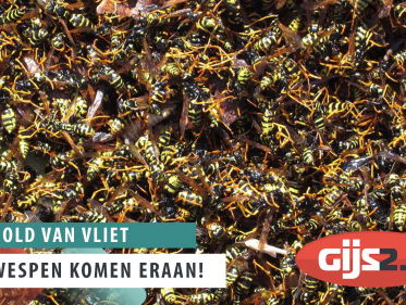De wespen komen eraan!