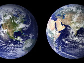 Het gaat niet goed met de dieren op onze planeet