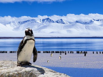 Op de zuidpool is het warmer dan hier