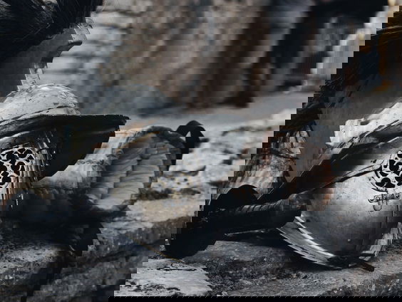 Voor Romeinse tempels naar Rome? Die heb je ook gewoon in Nederland!