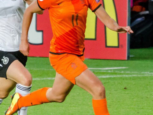 Oranje leeuwinnen