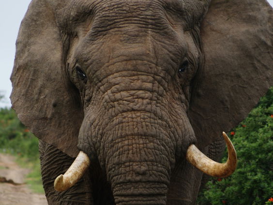 Luisteraar Jeroen komt met een heel leuk thema voor Alle 13