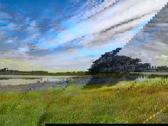 Ga je vandaag zwemmen in natuurwater? Zo herken je of het veilig is!