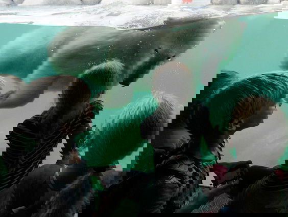 Opvallend vakantiebaantje: Merel werkt als dierenverzorgster in Wildlands!