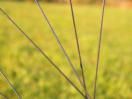 Frank fietste al 600.000 km door 120 landen. Hij schreef nu een boek over zijn fietstocht door Namibië