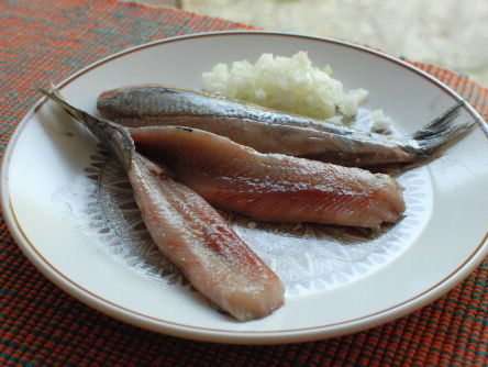 Robert den Haan is de allerlaatste nummer één in de AD Haringtest, want ze stoppen ermee!