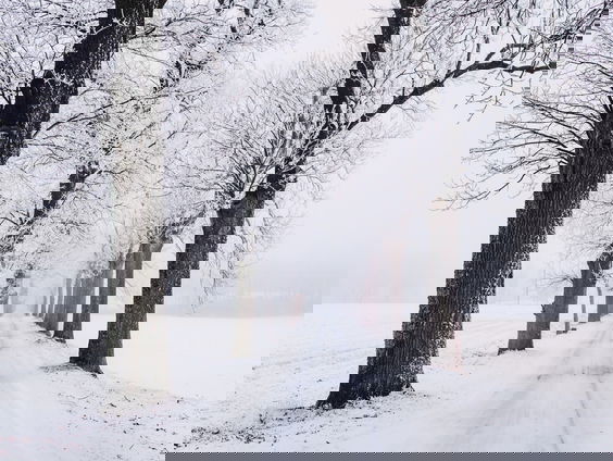 Jeroen is weer onhandig met auto's