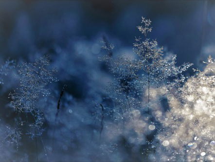 1/4 Kerstverhaal door Peter van Bruggen