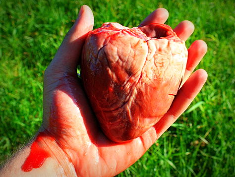 Doneer jij je orgaan aan een Chinees?