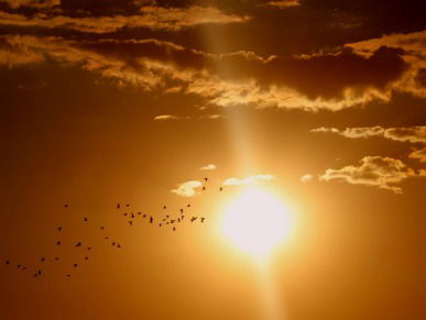 Waarom lijkt de zon soms groter? Sterrenkundige Govert Schilling legt het uit