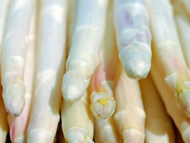 In Woubrugge haal je asperges gewoon uit de muur. Net als de FEBO!