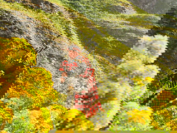 Kokhalzend aan de bloedworst in de coverbak