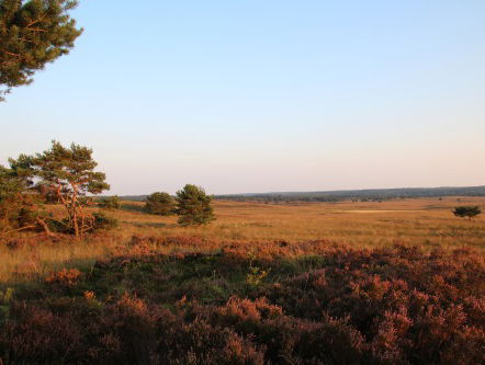 Opvallend! Nederlandse Marry uit Engeland merkt helemaal niks van de brexit