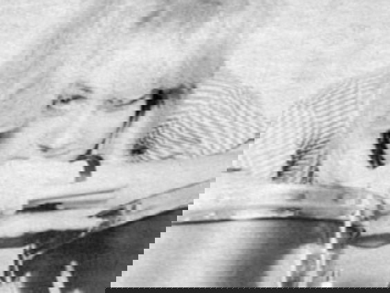 Het Gouden Trommelvlies: Debbi Peterson