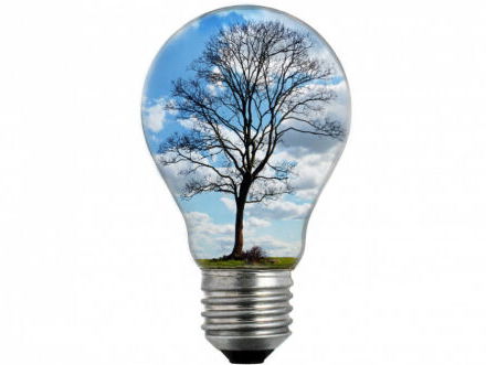 Otto roept kinderen op om het roer over te nemen.