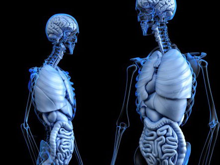 Wat zegt je darmflora over je emotie?