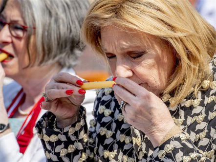 Heel Holland Bakt bijna weer op de buis!