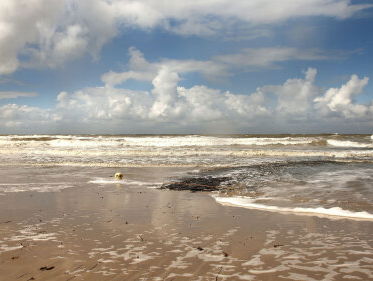 Strandjutter Maarten zag kilometers lang aangespoelde colawikkels op het strand