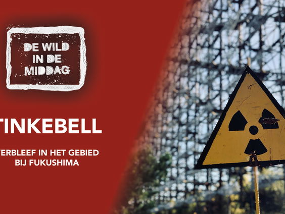 Tien jaar na Fukushima: Katinka Simonse verbleef er zeven weken