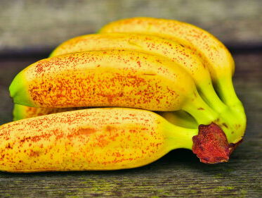 Bonne deed het onmogelijke: hij kweekte bananen in zijn woonkamer