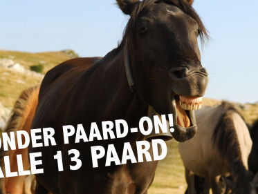 Alle 13 Paard
