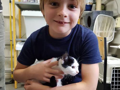 Elias is de Held van Haandrikman