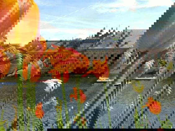 Formatie kabinet muurvast: waar gaat het mis?