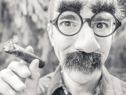 Waarom hebben Nederlanders grote neusgaten?