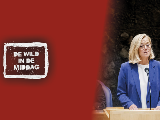 Sigrid Kaag over doodbedreigers: 'Bedreiger zou me gaan vermoorden'