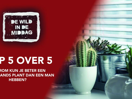 Top 5 over 5: Waarom kun je beter een tweedehands plant dan een man hebben?