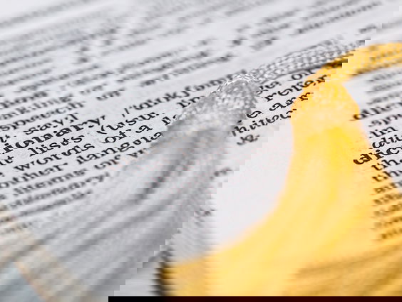 Spreken wij nog Nederlands over 100 jaar?