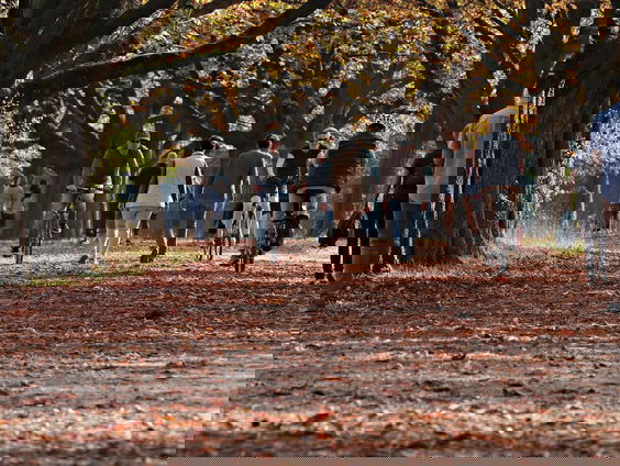 Hoe zal het kabinet inspelen op het afgenomen draagvlak voor de 1,5 meter samenleving?