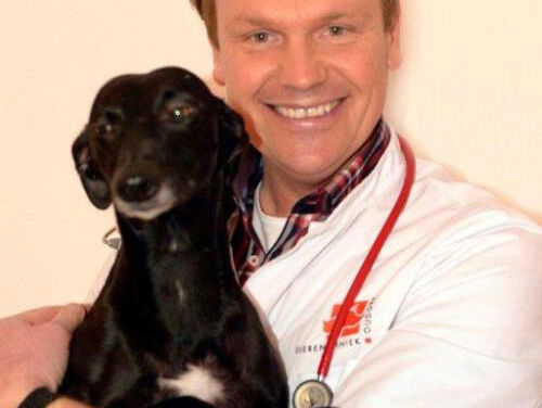 Dierendokter Martin geeft antwoord op je dierenvragen!
