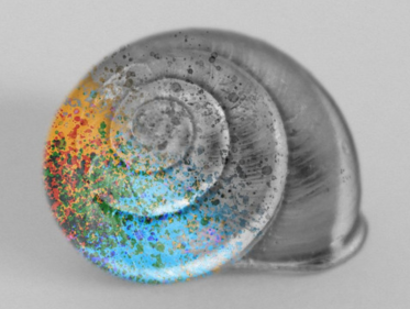 Annemieke's A-Plaat: Tangerine - 'In Your Thoughts'