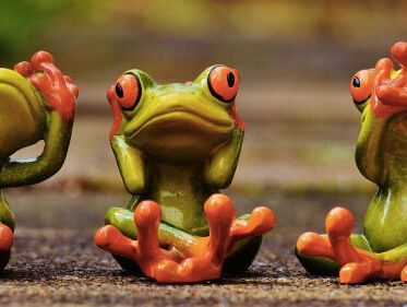 Rob doet afstand van zijn 3200 kikkers tellende verzameling