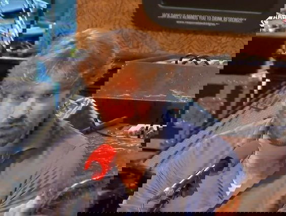 Aardwetenschapper Lennart de Groot is net terug van La Palma, waar hij mocht boren in de net gestolde lava