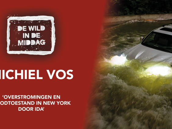 Michiel Vos: 'Overstromingen en noodtoestand in New York door Ida'