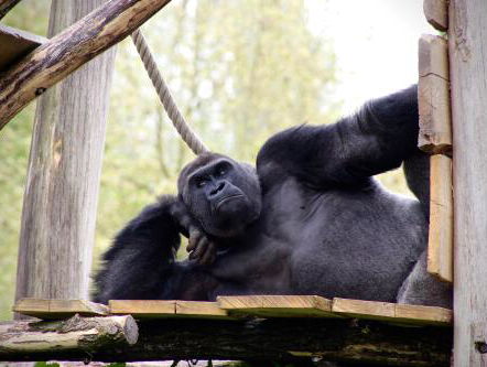 Yesim Candan over Turkije bezoeken Zonder Visum en Bokito- Mannen