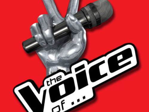 Sanne Hans over start TVOH